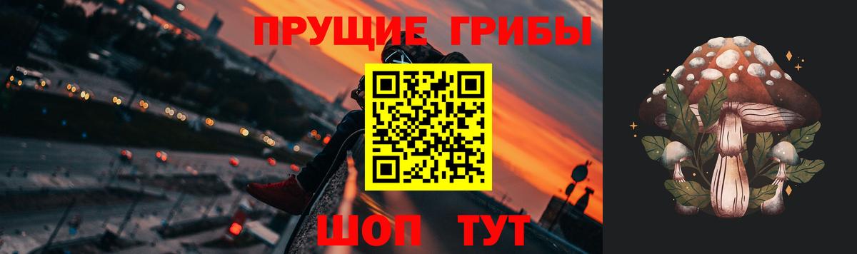 Псилоцибиновые грибы GOLDEN TEACHER Алапаевск